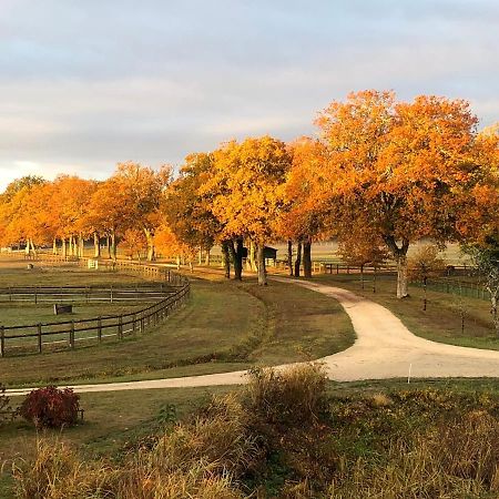 Haras Du Vignault Le Bucher Salbris Exterior photo
