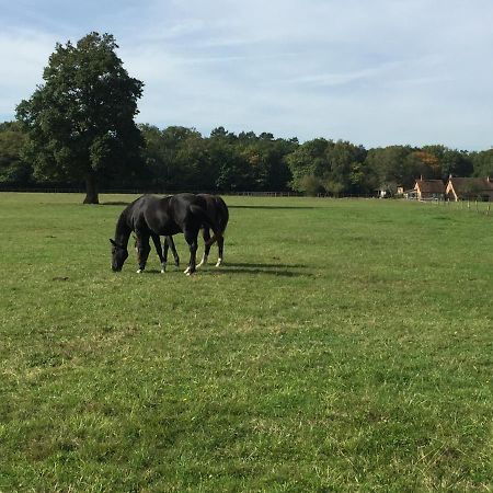 Haras Du Vignault Le Bucher Salbris Exterior photo