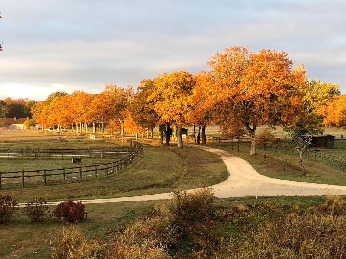 Haras Du Vignault Le Bucher Salbris Exterior photo