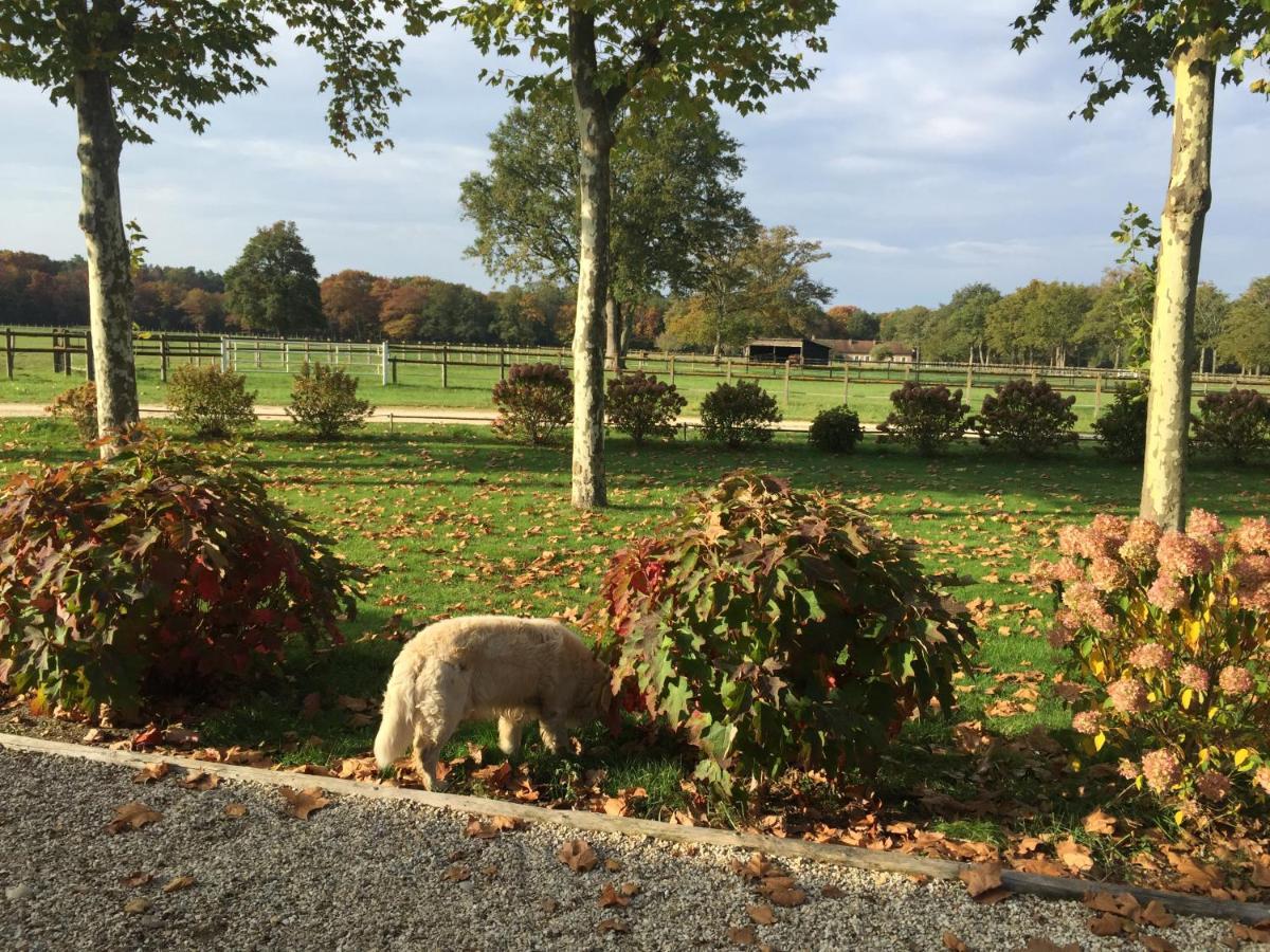 Haras Du Vignault Le Bucher Salbris Exterior photo